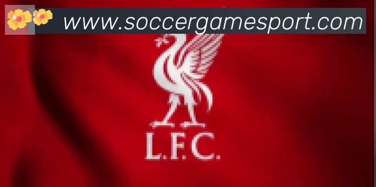 FIFA世界杯买球入口合作伙伴